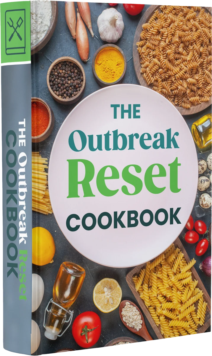 The Outbreak Reset Cookbook digital book cover